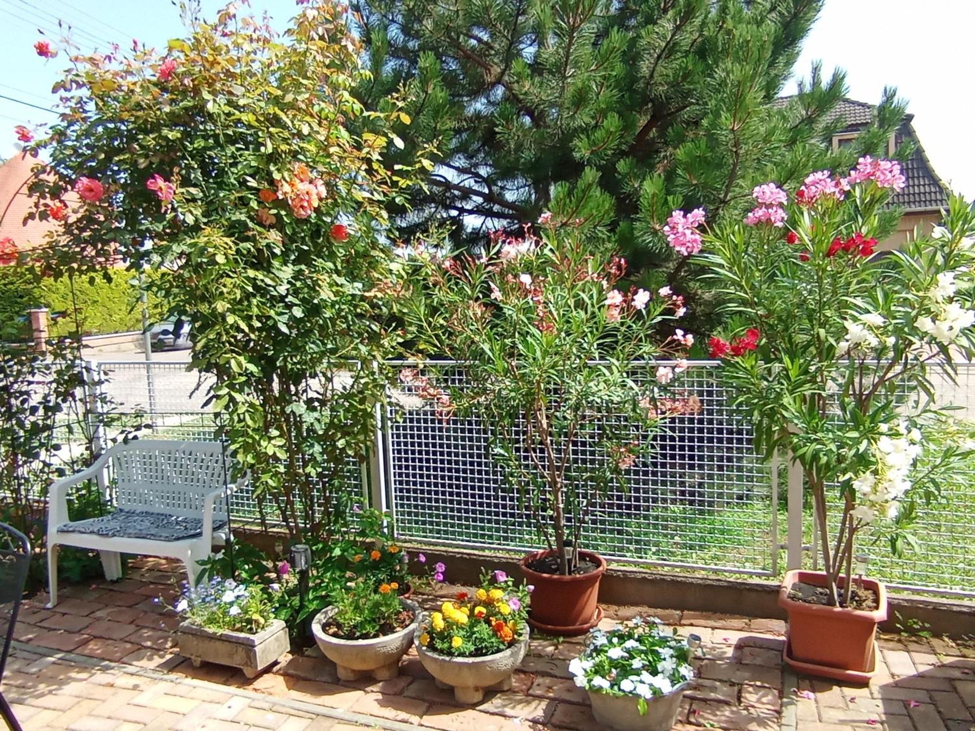 Marika Apartman Hajdúszoboszló Exterior foto